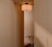 Pleated Shade Ceiling Light