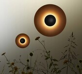 Ginger IP65 Outdoor Wall Light / 5 Sizes / 2 Finishes