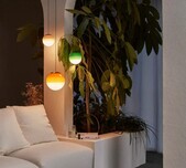 Dipping Light / 4 Sizes / 6 Colours